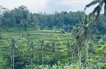 Ubud Tour - Ubud Highlight - Private Tour All inclusive