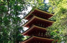 Exclusive Nikko UNESCO World Heritage Private Tour