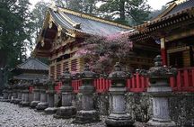 Exclusive Nikko UNESCO World Heritage Private Tour