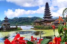 North Bali Private Tour - All Inclusive