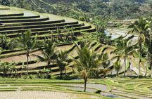 Tanah Lot and Ulun Danu Bratan Temple - Private Guided Tour