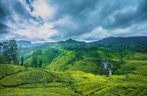 8 Day Private Sri Lanka Highlights Tour