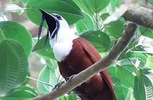 Private tour Continental divide nature hike