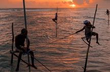 Sri Lanka 8 Day Private Tour with Accommodation
