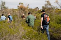 Sydney Aboriginal Walking Tour with Welcome Smoking Ceremony