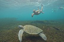 Majestic Tour of San Agustín & 11 Bays of Huatulco FULLDAY