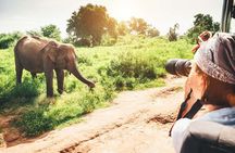 10 Day Authentic Sri Lanka Discovery Tour