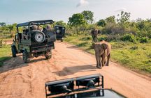 10 Day Authentic Sri Lanka Discovery Tour