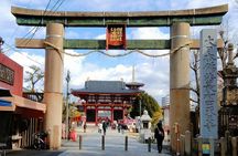 Osaka Castle & Temple Walking Tour with Multilingual Audio Guide