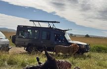3 days Masai Mara Group Joining