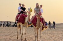 Private Desert Safari Abu Dhabi With Camel Ride & Sand Boarding