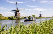 Delft and Windmills Small Group Tour from Rotterdam Cruise Port