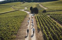 Reims: day in Champagne by electric bike with tastings