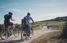 Reims: day in Champagne by electric bike with tastings