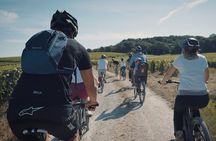 Reims: day in Champagne by electric bike with tastings