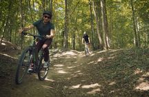 Reims: day in Champagne by electric bike with tastings