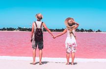 From Merida Tour to Las Coloradas and Río Lagartos