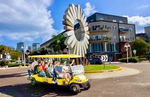 Guided St. Pete Sightseeing Tour in Deluxe Street Legal Golf Cart