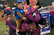 Lone Star Rydables Family Fun Tour in Arlington