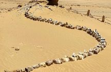 Wadi el Hitan Tour from Cairo