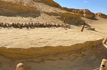 Wadi el Hitan Tour from Cairo