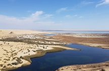 Wadi el Hitan Tour from Cairo