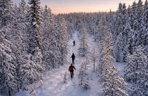 Guided Daytime Ski Adventure: Explore Private Trails by Rovaniemi
