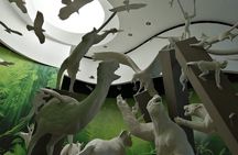 Beautiful BioMuseo - Museum of Biodiversity