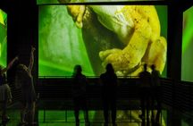 Beautiful BioMuseo - Museum of Biodiversity