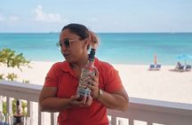 Stade's and Planteray Rum Tasting and Beach Experience