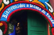 Coyoacan & Xochimilco Tour with Trajinera Ride from Mexico City