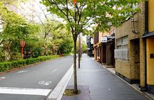 Kyoto Fushimi Inari E-Bike Tour: Hidden Temples & Backstreets