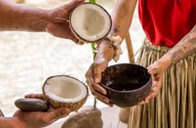 Underwater Observatory & Coconut Experience