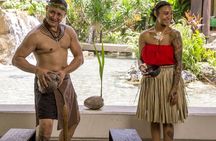 Underwater Observatory & Coconut Experience