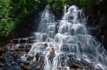 Ubud Private Custom Day Tour