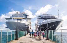 Bali Full Day Tour from Benoa Port All Inclusive
