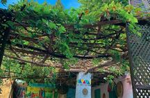 Open-Air Farm Luxor Lunch or Dinner Experience in a Green