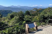 Half Day Hiking at Mt Takao Back to Shinjuku by Noon