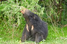 Yala Safari Private Tours - Shore Excursion from Hambantota Port