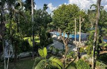 Chitwan Jungle Safari 2 Nights 3 Days with jeep safari & Meals