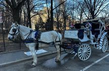 Central Park Carriage Ride NYC’s Timeless Tour