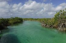 Sian Ka'an Tour (Private, Half Day)