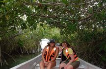 Sian Ka'an Tour (Private, Half Day)