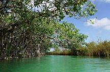 Sian Ka'an Tour (Private, Half Day)