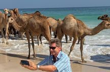 Fazayah Beach & Blowholes – Turquoise Shores of West Salalah