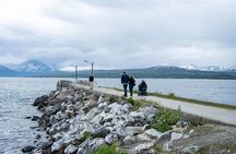Accessible Tromsø Island Tour