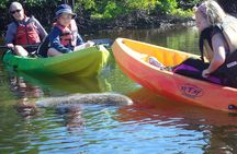 Half Day Kayak or SUP Rental (3hr) - Pelican Bay