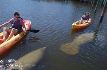 Half Day Kayak or SUP Rental (3hr) - Pelican Bay