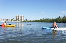 Half Day Kayak or SUP Rental (3hr) - Pelican Bay