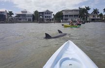Half Day Kayak or SUP Rental (3hr) - Pelican Bay